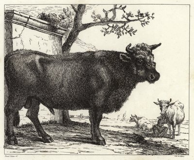 De stier door Paulus Potter